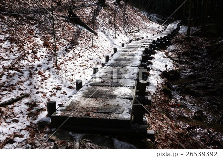 山梨 塩山 竹森の座禅草 山梨 塩山 竹森の座禅草 26539392