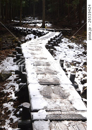 山梨 塩山 竹森の座禅草 山梨 塩山 竹森の座禅草 26539424