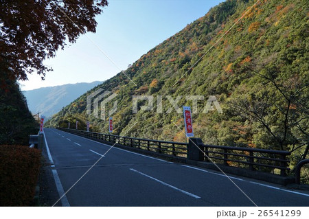 全国的に知られた紅葉の名所　九州熊本県八代市泉町　五木五家荘の紅葉 26541299