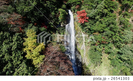 全国的に知られた紅葉の名所　九州熊本県八代市泉町　五木五家荘の紅葉とせんだん轟の滝 26541303
