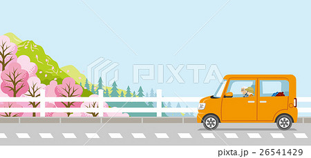 春のドライブ 桜 シニアカップル 顔なしのイラスト素材