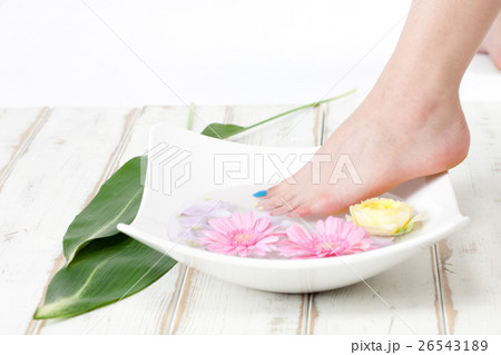 Beauty Care Beauty Care 26543189