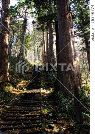 出羽三山神社への参詣道二の坂 出羽三山神社への参詣道二の坂 26546774