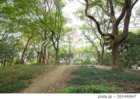 大阪茶臼山本陣跡 26546847