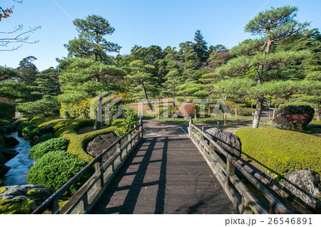 Japanese bridge in botanical garden Japanese bridge in botanical garden 26546891