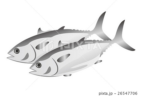 マグロ 26547706
