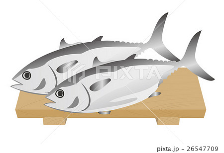マグロ 26547709
