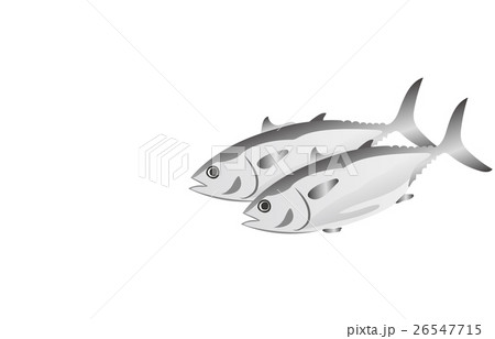 マグロ 26547715
