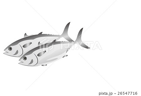 マグロ 26547716