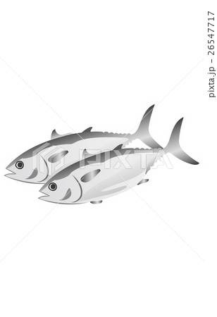 マグロ 26547717