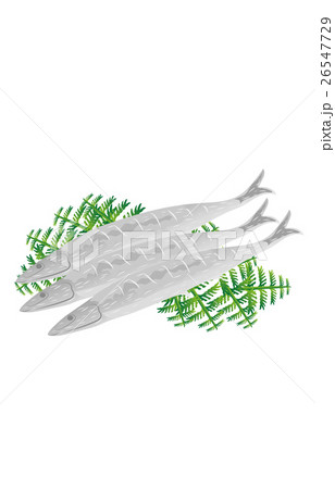 秋刀魚 26547729