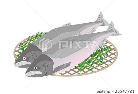 鮭 26547731
