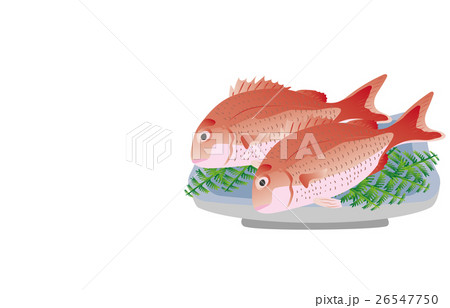 鯛 26547750