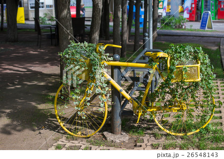 Yellow bicycle with ivy 26548143