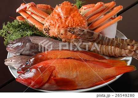食材盛り(鮮魚) 26549280