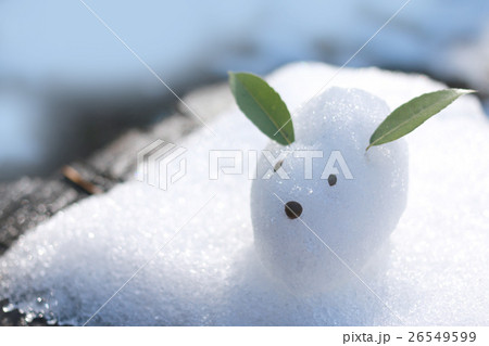 雪うさぎ 26549599