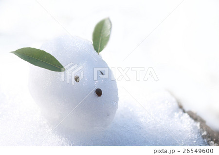 雪うさぎ 26549600