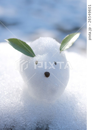 雪うさぎ 26549601