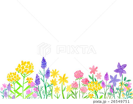 水彩イラスト 花 セットのイラスト素材 26549751 Pixta
