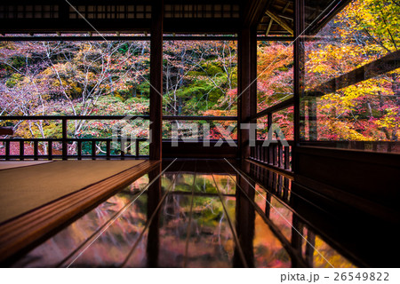 秋の瑠璃光院　書院二階から眺める瑠璃の庭 26549822
