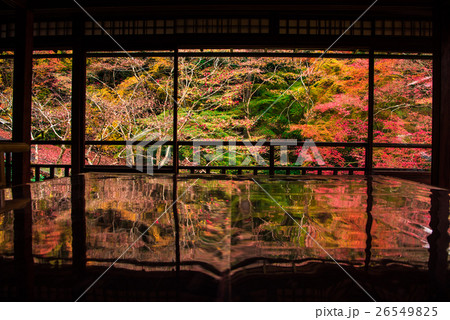 秋の瑠璃光院　書院二階から眺める瑠璃の庭 26549825