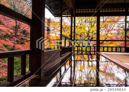 秋の瑠璃光院　書院二階から眺める瑠璃の庭 26549834