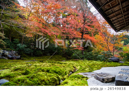 秋の瑠璃光院 書院一階から眺める瑠璃の庭 秋の瑠璃光院 書院一階から眺める瑠璃の庭 26549838