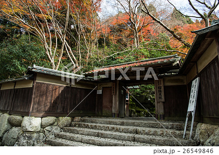 秋の瑠璃光院　山門 26549846