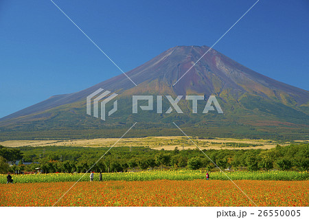 初秋の富士山 26550005