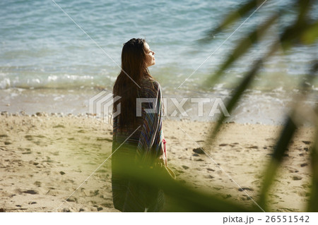 南国への旅行 ビーチ 南国への旅行 ビーチ 26551542