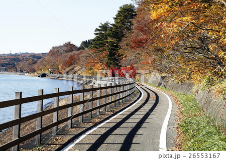 サイクリングロード(山中湖) サイクリングロード(山中湖) 26553167