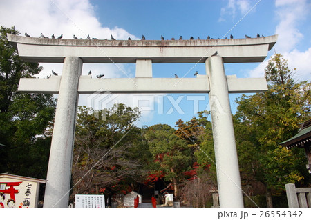 下関市の住吉神社 下関市の住吉神社 26554342