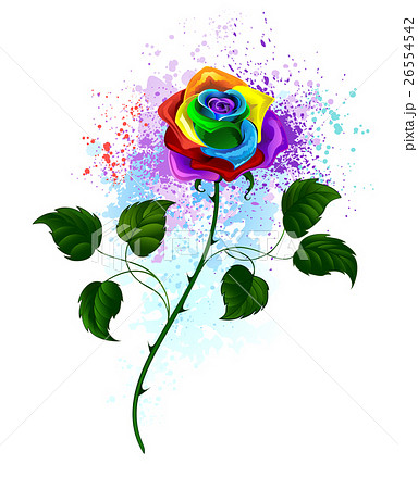 Rainbow Roseのイラスト素材