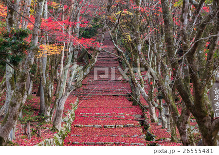 秋の鶏足寺 26555481