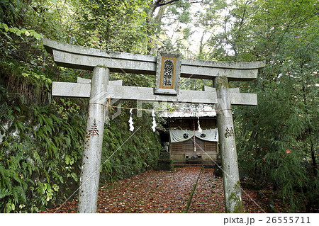 熊野神社(塔ノ沢) 熊野神社(塔ノ沢) 26555711