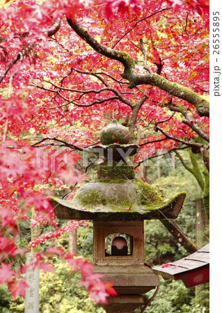 最乗寺（南足柄市） 26555895