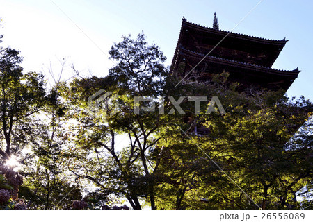 岡山県備中国分寺 26556089