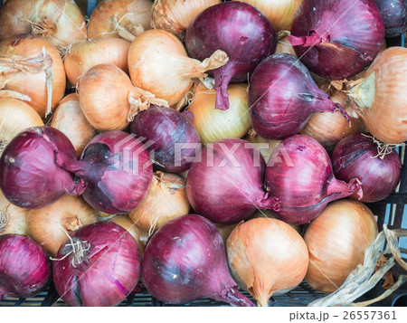 Yellow and red onion on sale at the market Yellow and red onion on sale at the market 26557361