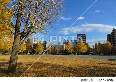 蒔田公園 26557890
