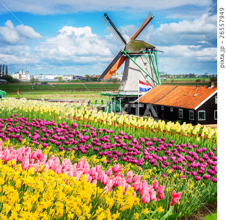 Dutch wind mills Dutch wind mills 26557949