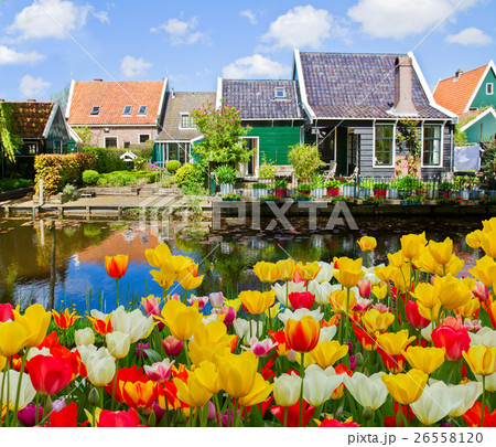 old  town of Zaandijk, Netherlands 26558120