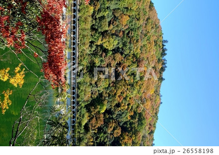 相模湖の風景 26558198