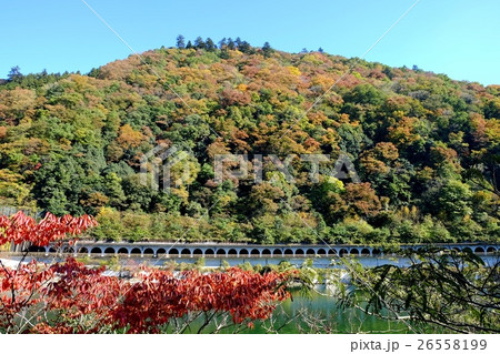 相模湖の風景 26558199
