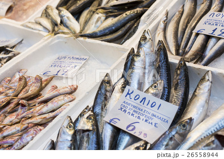Variety of fish and seafood on local greece market Variety of fish and seafood on local greece market 26558944