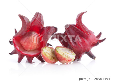 roselle on white background 26561494