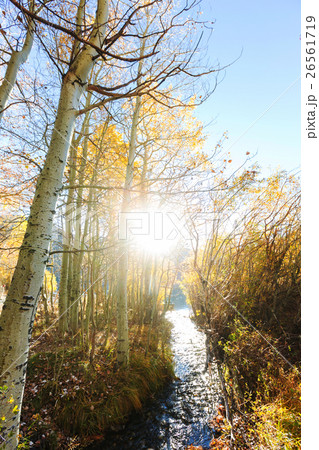 Autumn scene Autumn scene 26561719
