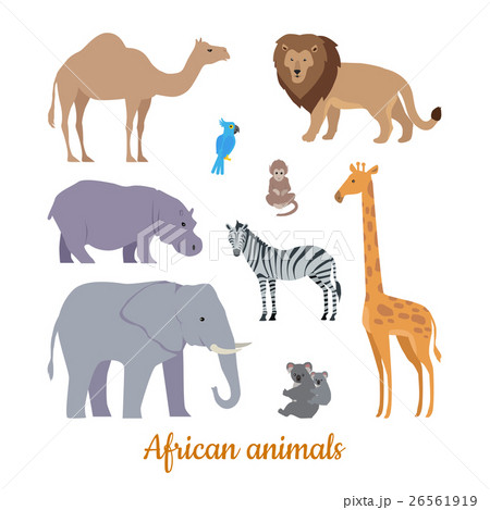 Set of African Animals Flat Design Illustrations  26561919