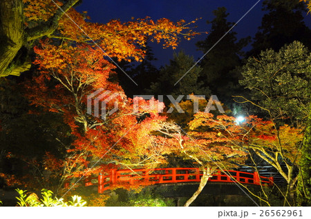 紅葉谷公園1 26562961