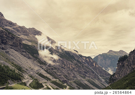 Landscape of Mountains and grass of South Tyrol 26564864