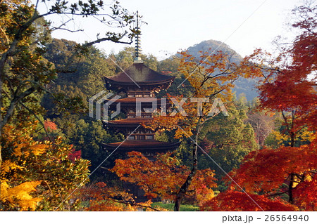 秋の紅葉と瑠璃光寺五重塔の写真素材